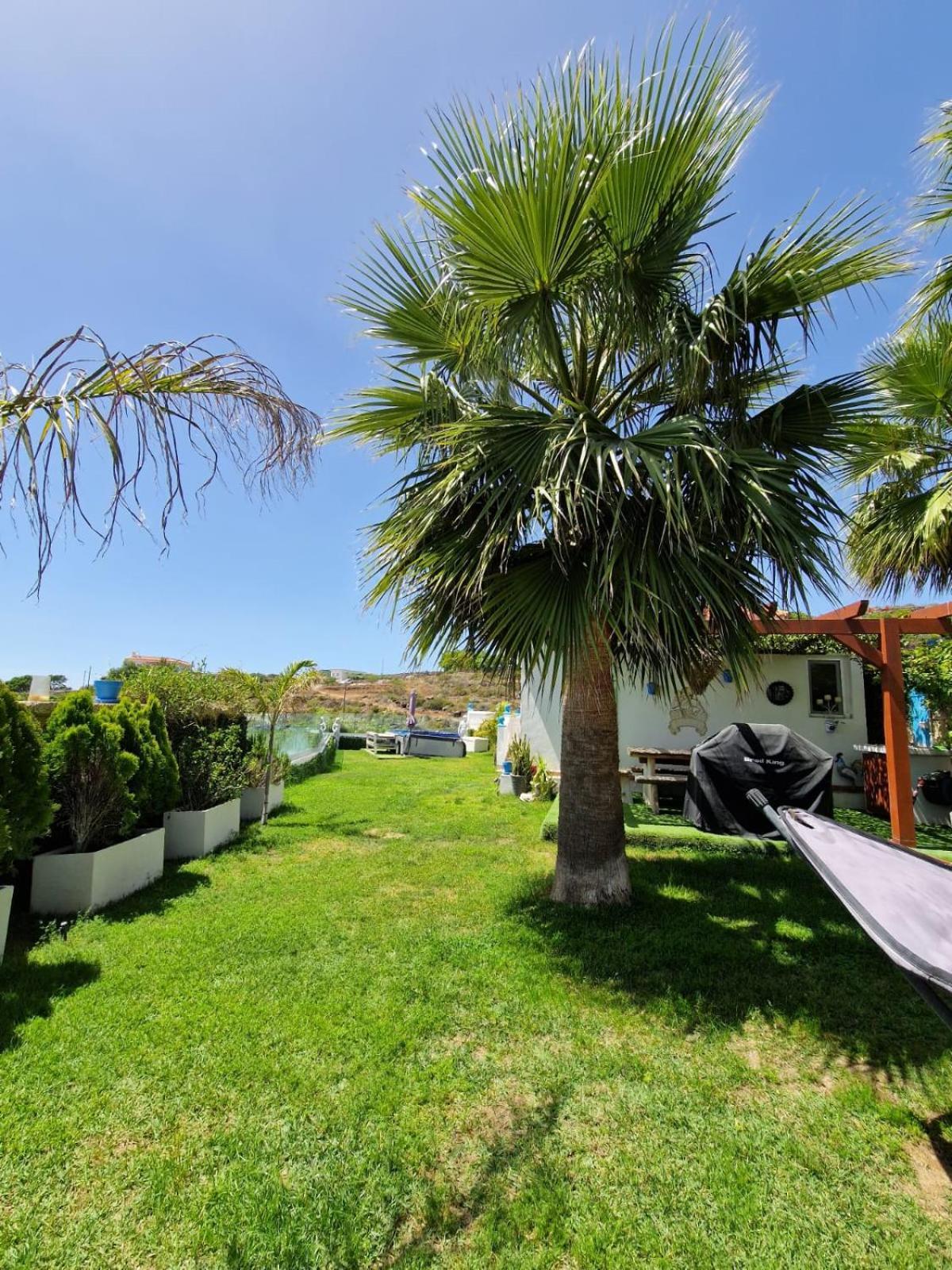 Escape To Finca Conejo, Typical Canarian House Private Jacuzzi, Sauna, Gym, Finca Conejo Taucho By Aqua Vista Tenerife Адехе Екстериор снимка